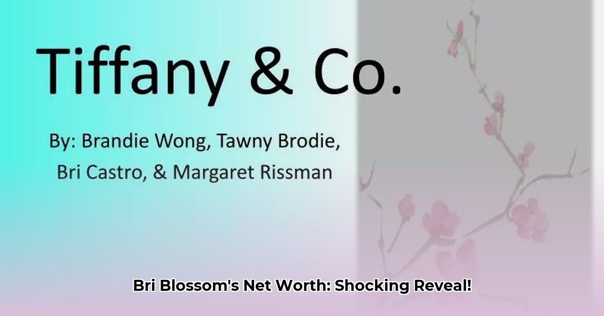 bri-blossom-net-worth